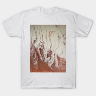Drizzled copper and cream T-Shirt